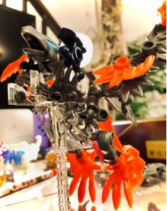 IMG_4981.jpeg