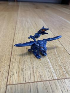 IMG_0321.jpeg