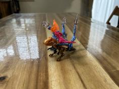 IMG_6593.jpeg