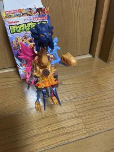 IMG_6647.jpeg
