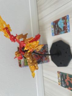 IMG_6394.jpeg