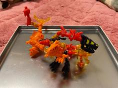 IMG_0198.jpeg