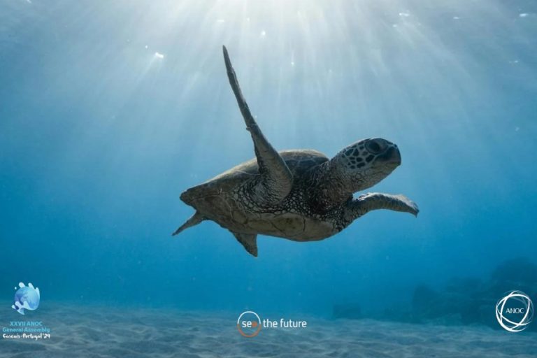 國家奧會聯合會（ANOC）攜手SeaTheFuture推動永續發展與海洋保護