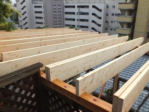 DSCF0200