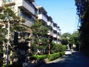 新しいイメージmannshonn