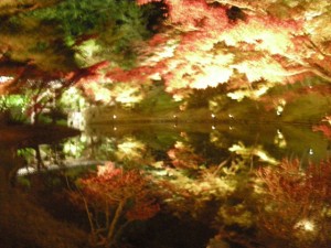 DSCN0696