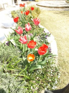 DSCF0842