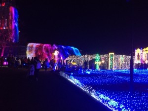 IMG_5201