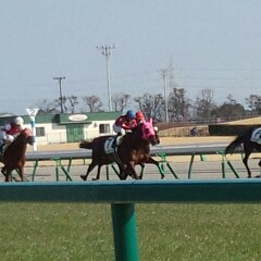 勝負運無しのアイコン