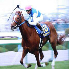 マサレカ7のアイコン