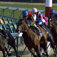 倍満のアイコン