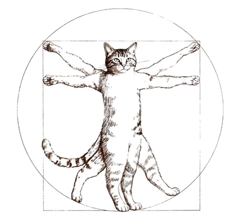 キャン・タマオのアイコン