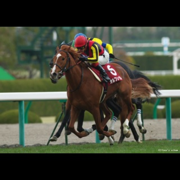 まさとのアイコン