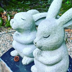 おかゆのアイコン