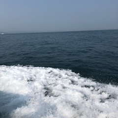 キャンディーのアイコン