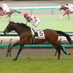 アルフ馬券のアイコン