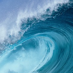 鶴千年亀万年のアイコン