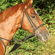 たーしのアイコン