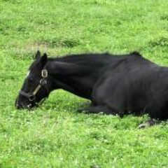 スリースポットのアイコン