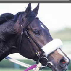 nabeyderのアイコン