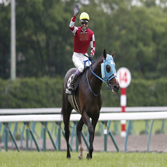 タツノオトシゴのアイコン
