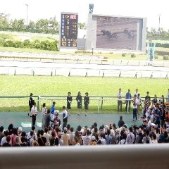 ゆさのアイコン