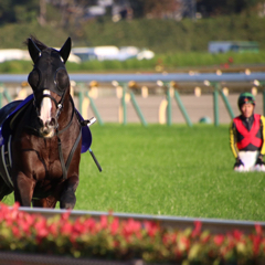 machamiのアイコン