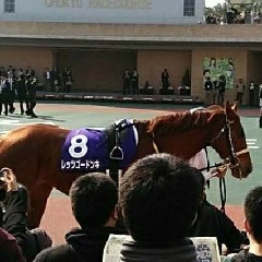 トメフのアイコン