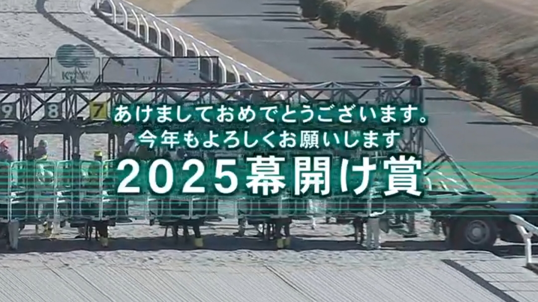 ミラクル300ydのアイコン