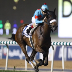 しののアイコン