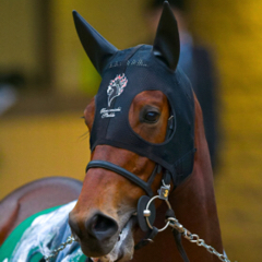 yooooochinのアイコン