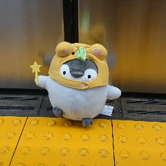 camoのアイコン