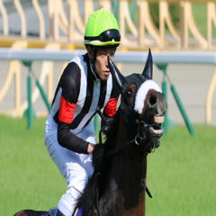 HI爺のアイコン