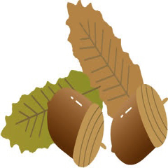 どんぐりのアイコン