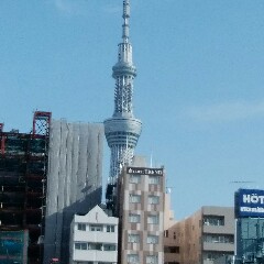 ただおのアイコン