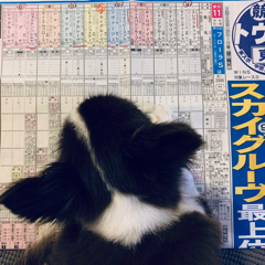 ホースリーマンのアイコン