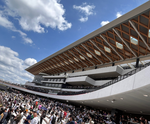 当たって砕けろのアイコン