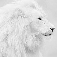 ナイスゥ～のアイコン