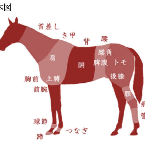 レオのアイコン