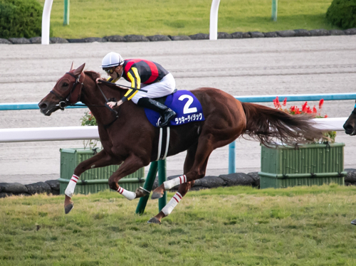 競馬YOSHIKIのアイコン
