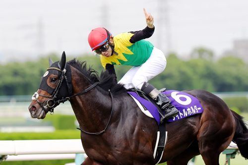 おぐりんのアイコン