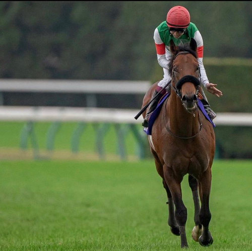 Daigoのアイコン