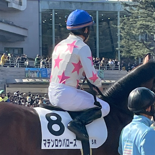 マテンロウバローズのアイコン