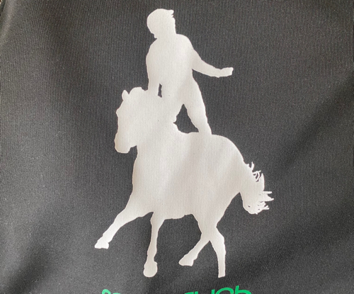 サトリオウのアイコン