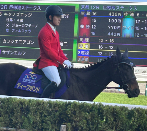 Maruwaのアイコン