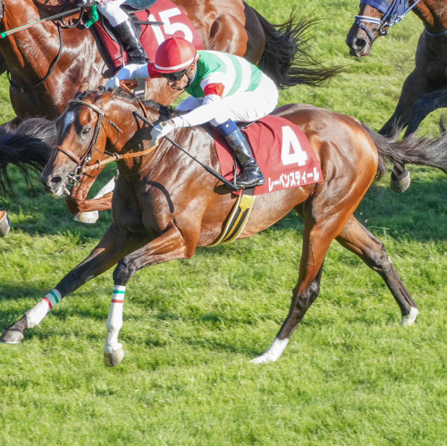 ネオたんのアイコン