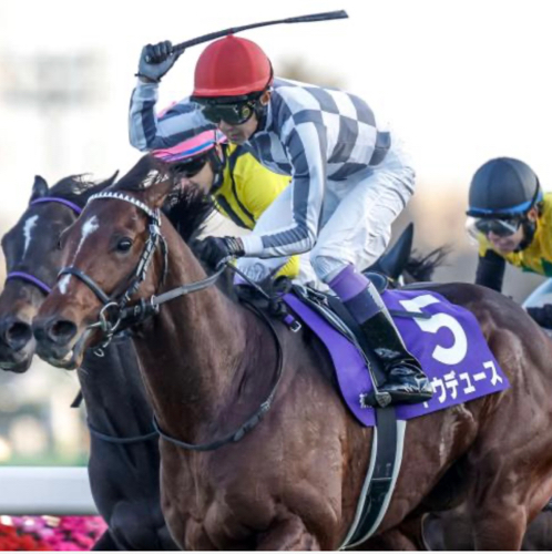 良馬場くんの競馬予想のアイコン