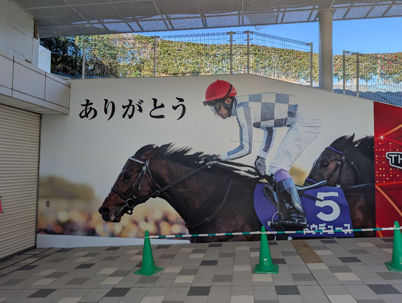 ドウデュース君のアイコン