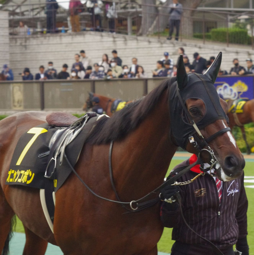 Coldlaのアイコン