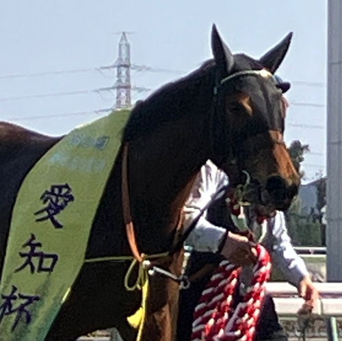 りひあうのアイコン